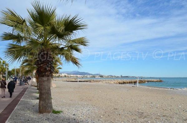 Grand Studio Tres Agreable Avec Bar, Cuisine Et Terrasse Cagnes-sur-Mer Buitenkant foto